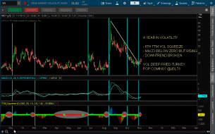VIX - A YEAR IN VOLATILITY - 11-10-15.png