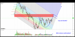 NovaGold Cup and Handle.png