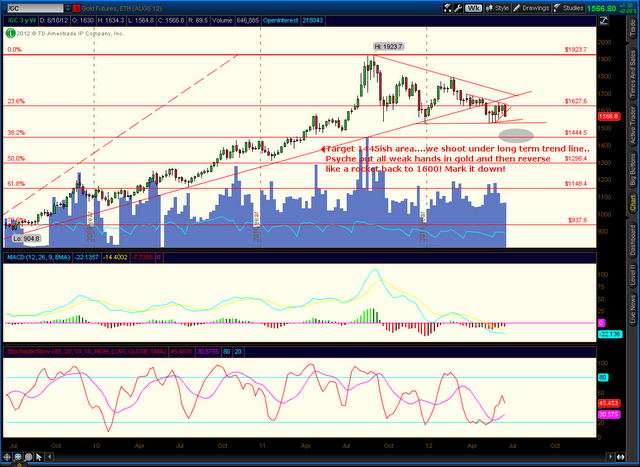The Slippery Slope Investment and Chuckle Forum: Where Art Gold Going? I Know!