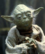 yoda-is-disciplined.png