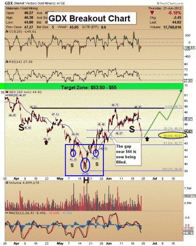 gdx_breakout.gif (670×838)