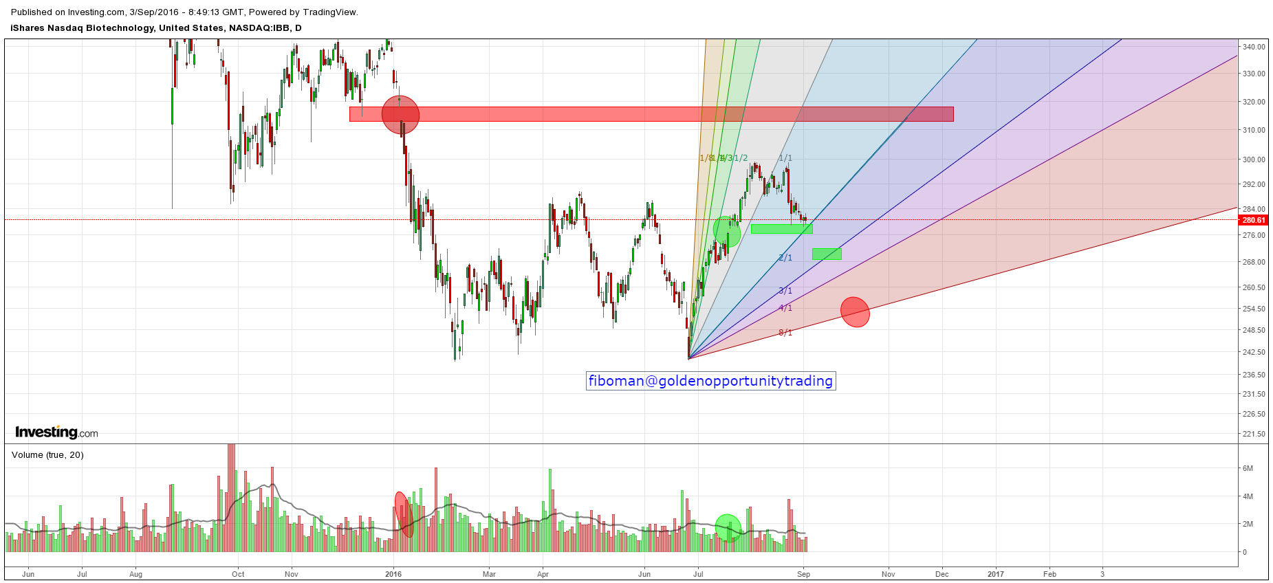 IBB 03.09.16 (p).png