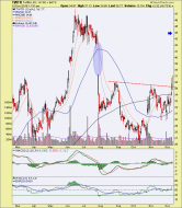 Tweet Tweet! – Notes From the Rabbit Hole