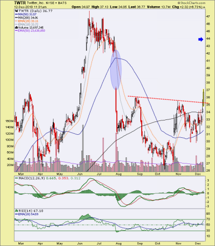 Tweet Tweet! – Notes From the Rabbit Hole