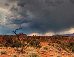 California Hit With Hottest Rain in Recorded History : TreeHugger