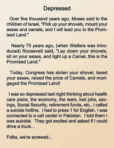 photo-2.jpg (371×480)