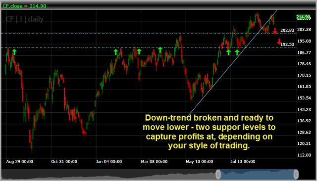 CF Industries Holdings CF setup
