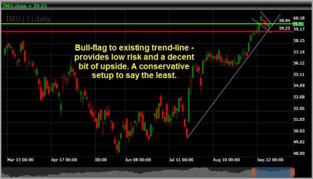 Thermo Fisher Scientific TMO