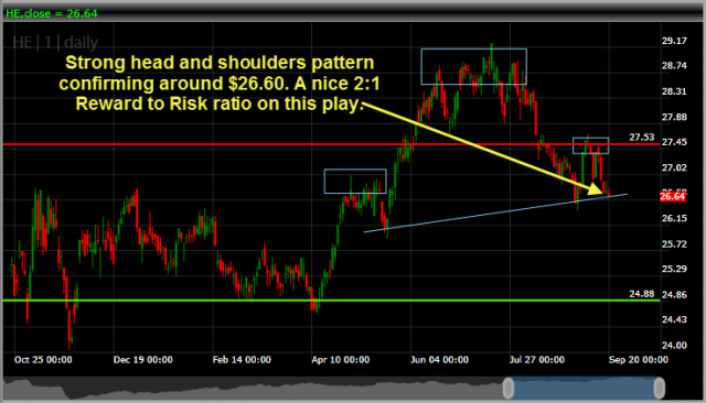 Hawaiian Electric HE x2