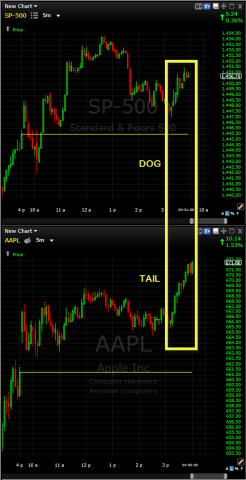 tail wagging the dog or dog wagging the tail aapl and spx