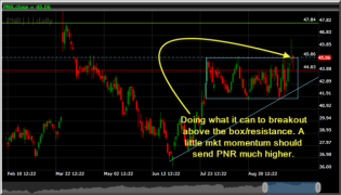 pentair pnr long at 45