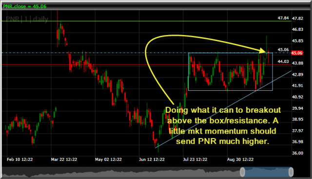 pentair pnr long at 45