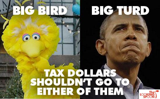 Google Image Result for http://www.commonsenseevaluation.com/wp-content/uploads/2012/10/big_bird_obama.jpg