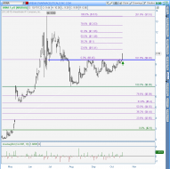 bluechip bulldog: Man in the ARENA