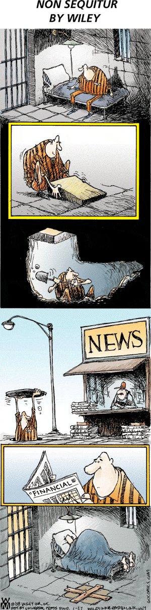 non-sequiter-1-27-08.gif
