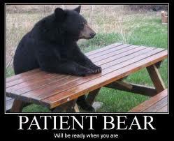 Financial Insights for the Eschaton: Patient Bear