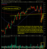 telephone  data systems TDS short setup