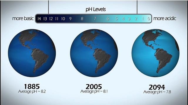 oceanAcidification_CO2