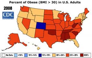 Guest Post: The Obesity Puzzle | ZeroHedge