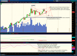 The Slippery Slope Investment and Chuckle Forum: My Monthly Gold Analysis