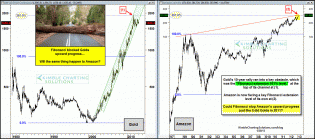 goldamazonfibextenstionjan281.gif (1559×688)
