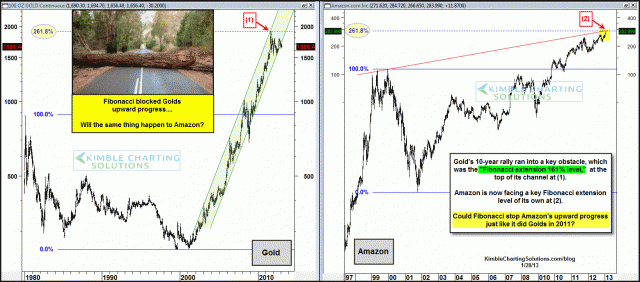 goldamazonfibextenstionjan281.gif (1559×688)