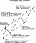 learning-elliott-wave-analysis.gif (400×478)