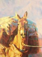 photos up to 2-23-2013 096.JPG