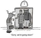 Bear-going-down-in-elevator.jpg (350×325)