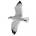 Jonathan Livingston Seagull