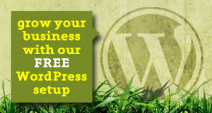 Free wordpress setup
