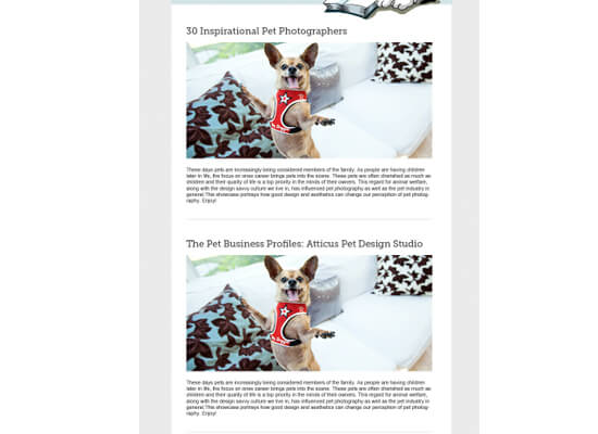 how to design an email newsletter template in 7 simple steps
