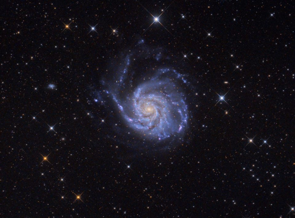 M101