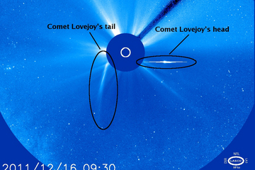 Comet Lovejoy