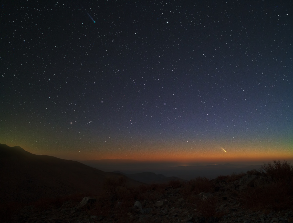 Comet Lemmon and PANSTARRS