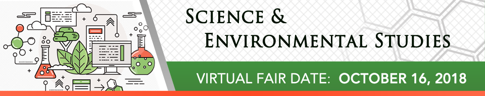 Virtual Fair Graphic