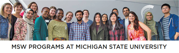 michigan state phd social work