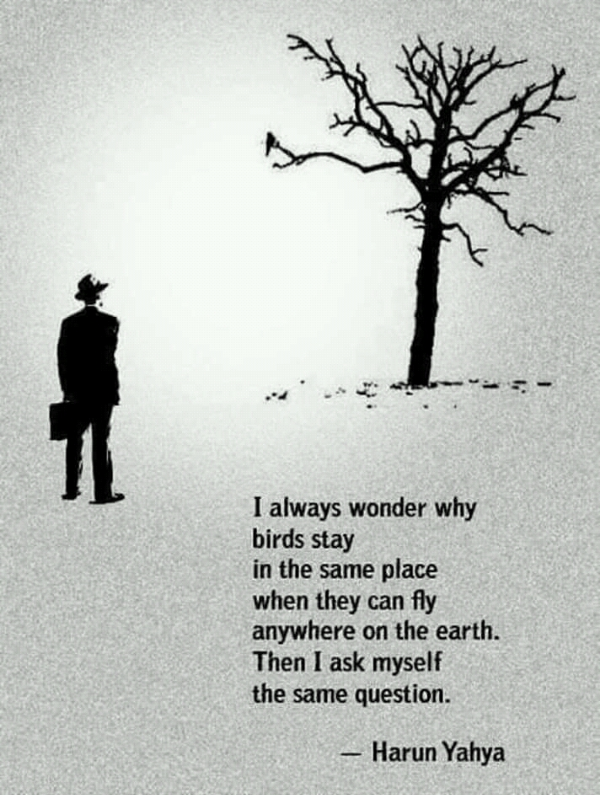 : : : : :