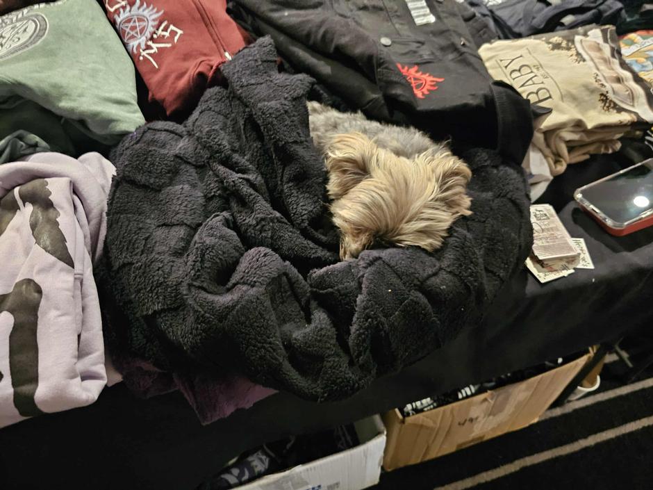 Supernatural 20th Anniversary Tour Finale in Nashville: Jensen, Jared, Mark Sheppard & SPN Family Magic | Interviews & Reviews by Center Stage Magazine #