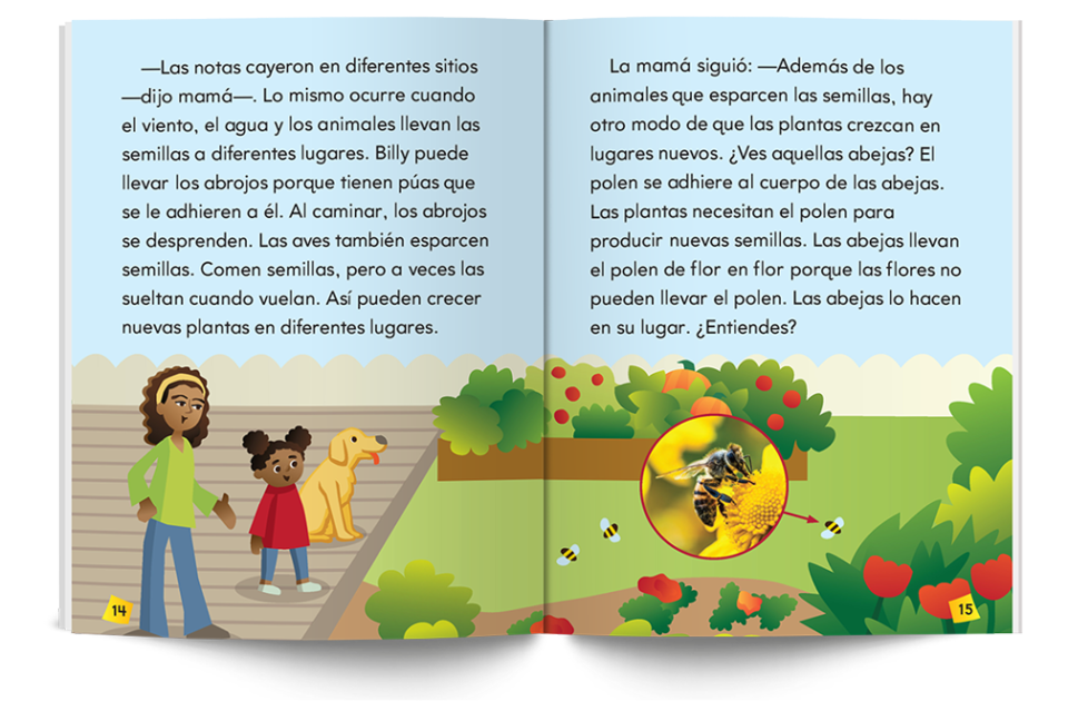 SE_CG_4_IntoScience_WF2484200