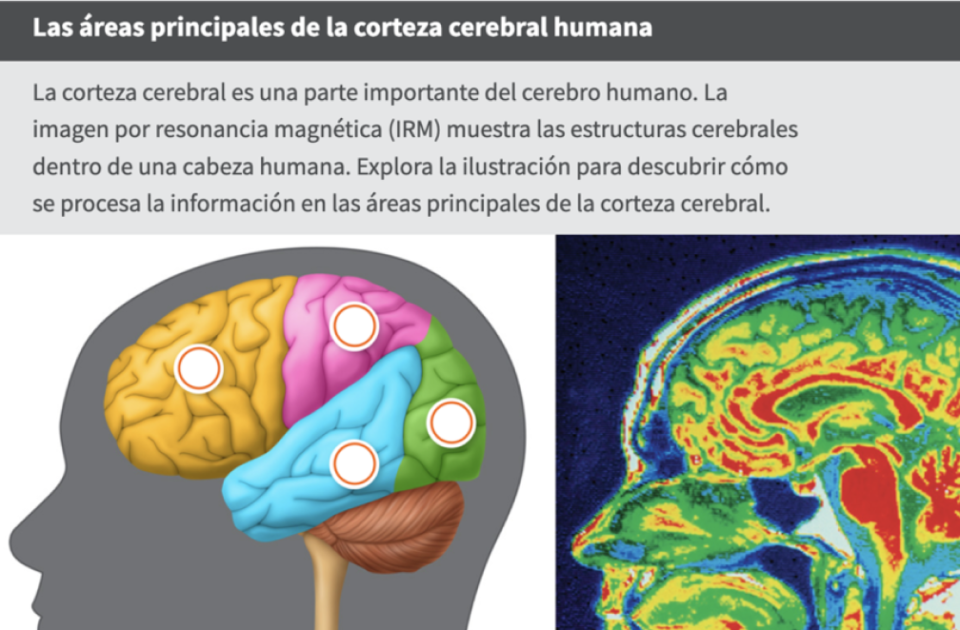 TE_CG_2_IntoScience_6-8_WF2484200