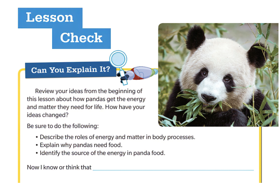 TE_CG_2_IntoScience_WF2484200