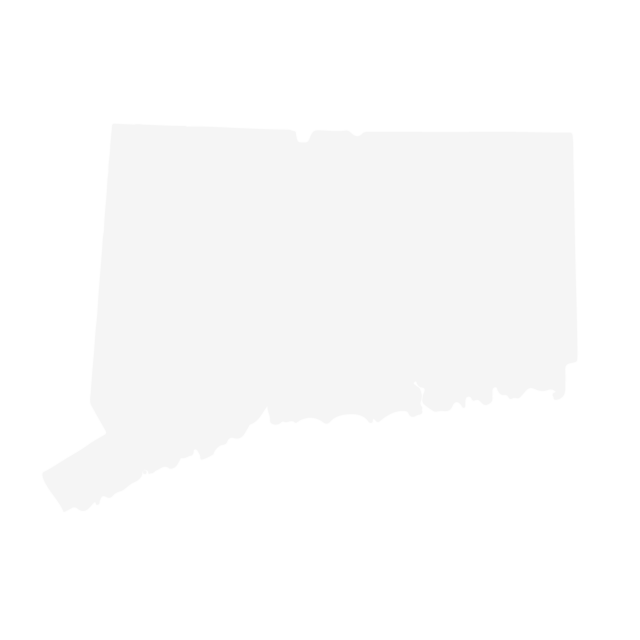 Connecticut State Icon FSM2022