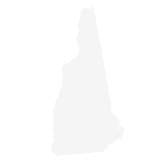 New Hampshire State Icon FSM2022