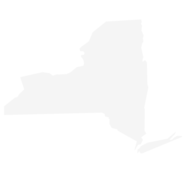 New York State Icon FSM2022