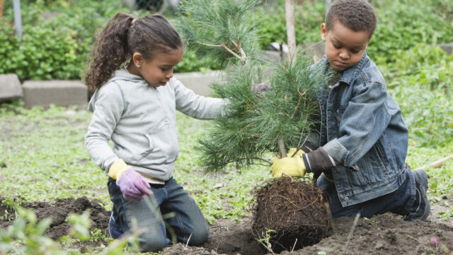 Earth day lesson plans