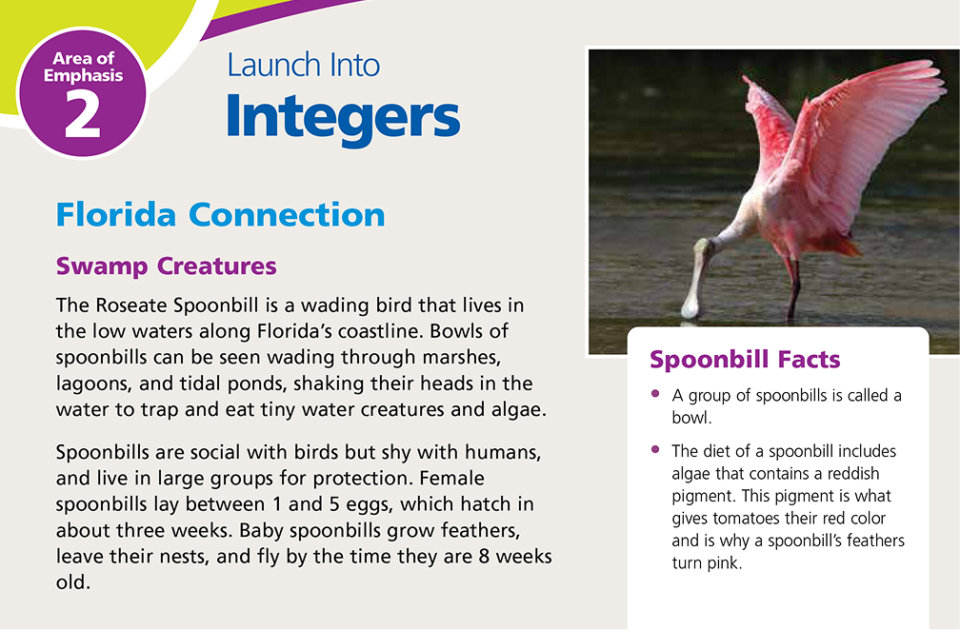 Lessons_IntoMath_FL_WF2351750