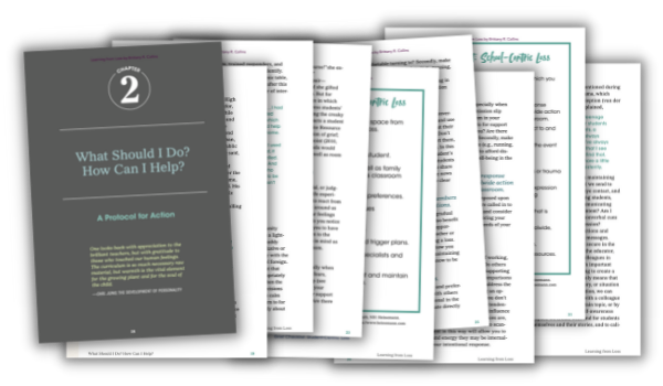 What Should I Do Hpw Can I Help A Protocol for Action. Learning from Loss Chapter 2 by Brit Collins
