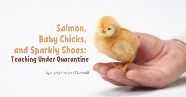 Salmon Baby Chicks Teaching Under Quarantine 1