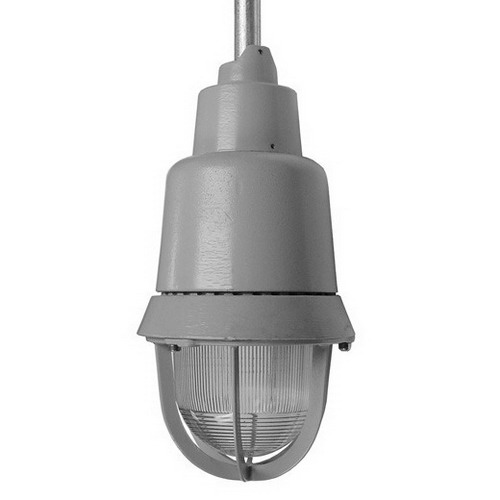 Cooper CrouseHinds EVIA2301 1Light EVI Series Explosionproof